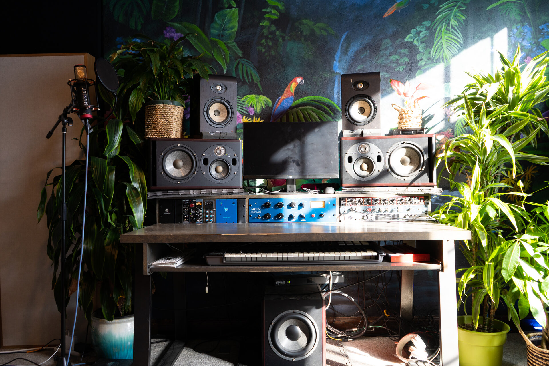 Rainforest Room - photo 2